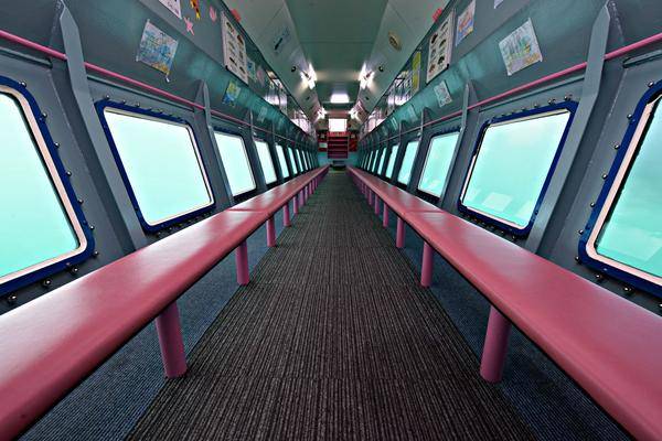 佐贺・唐津｜呼子朝市・海底观光船・海底餐厅・海中展望塔・棚田绝景・镜山展望台｜探索海洋之旅一日游｜博多站出发（广东话／中文导游）